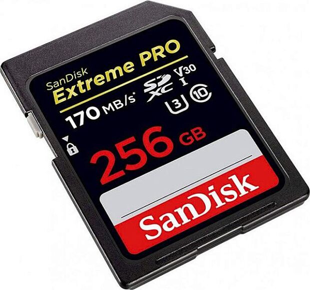 Карта памяти SD 256GB SanDisk SDXC Class 10 V30 UHS-I U3 Extreme Pro, 170MB/s (SDSDXXY-256G-GN4IN) RU - 1
