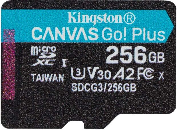 Карта памяти microSDXC Canvas Go Plus (256 Гб, UHS-I, U3, V30) (SDCG3/256GB) RU - 1