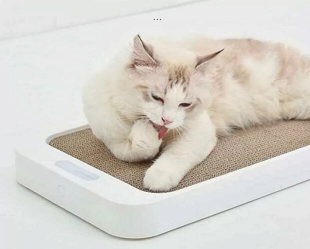 Лежанка - когтеточка - весы для кошек Homerun Magic Board Pet Scale PS15 (White) - 3