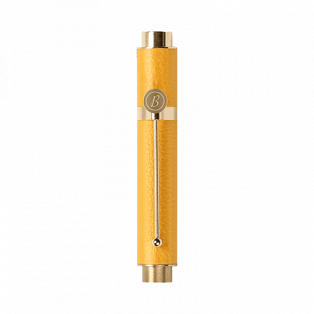 Ручка Xiaomi Unexpected Design Hour Light Portable Cowhide Pen Ginkgo Lettering Version (Yellow) 