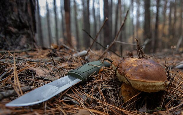 Нож Morakniv Kansbol with Survival kit, нержавеющая сталь, с огнивом, 13912 - 1
